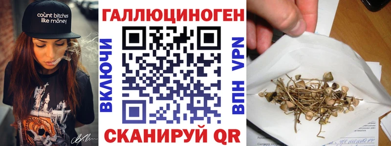 Псилоцибиновые грибы Psilocybine cubensis  Медногорск 